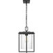 Adair 1 Light 11 inch Powder Coated Black Outdoor Hanging Lantern